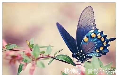 超凉快的头盔排名哪个是您的菜(图1)